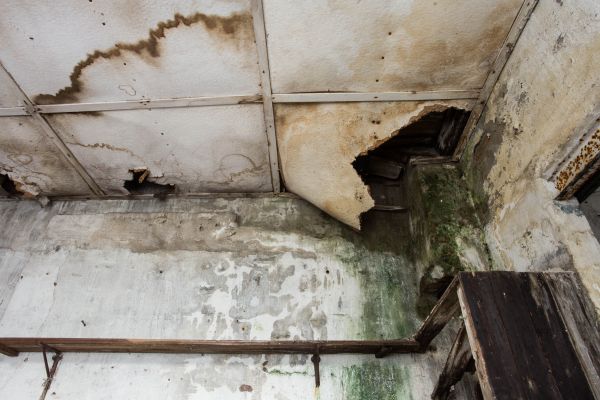 Cost of Water Damage Service in Queen Creek