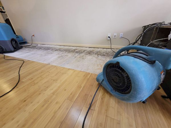 Cost of Water Damage Mitigation in Queen Creek