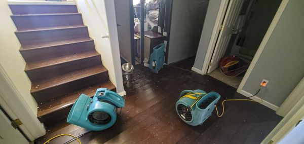 Cost of Water Damage Remediation in Queen Creek