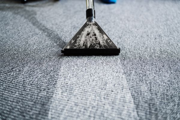 Carpet Sanitization